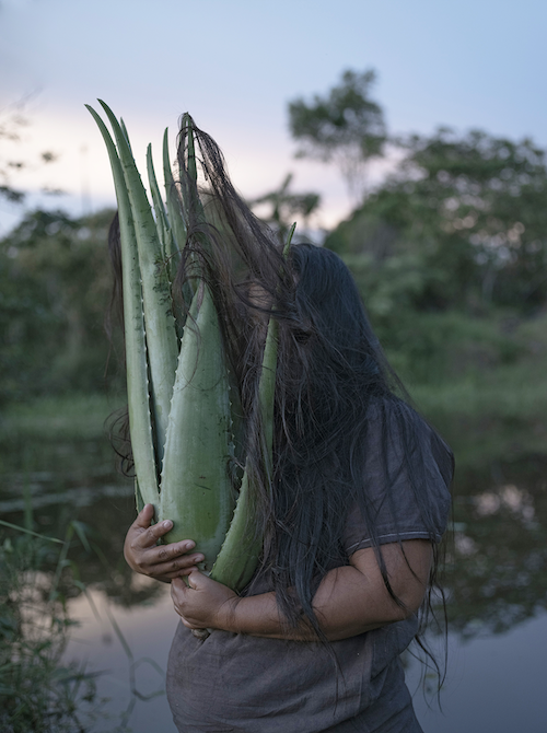Ein Mann mit langen Haaren, der eine Aloe hält