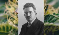 Walter Benjamin nimmt Haschisch in Marseille
