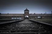 Heimisch bleiben in einer Welt nach Auschwitz